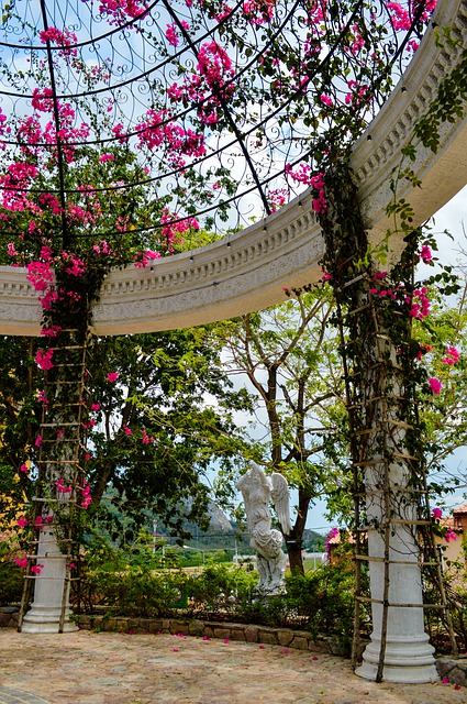 Hit letošního léta. Pergola.